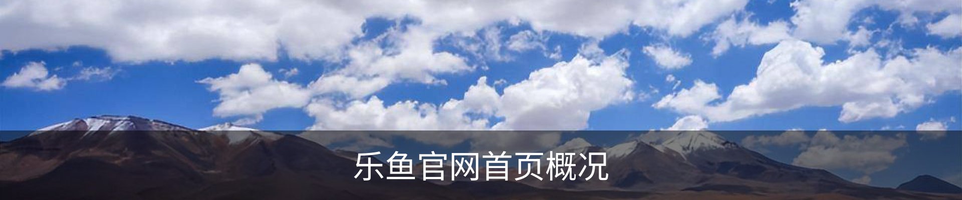 乐鱼官网首页概况