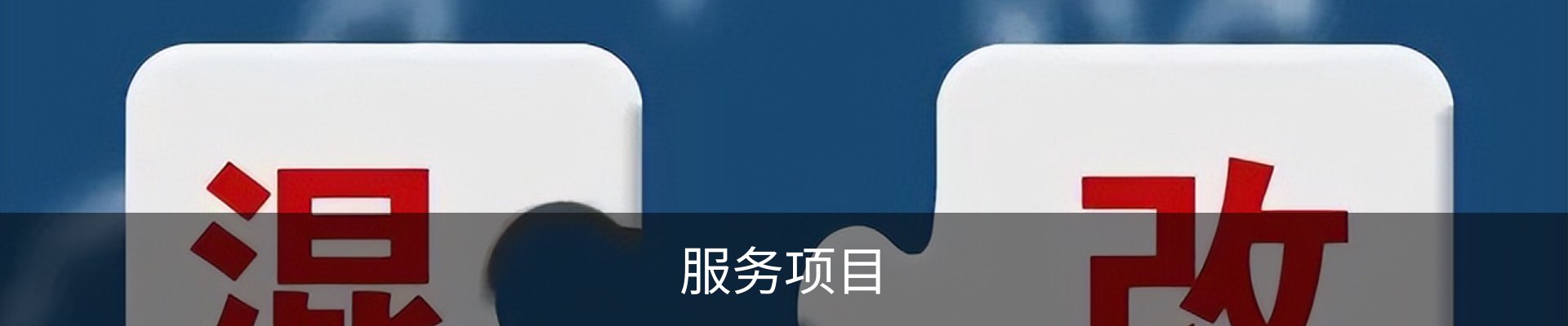 服务项目