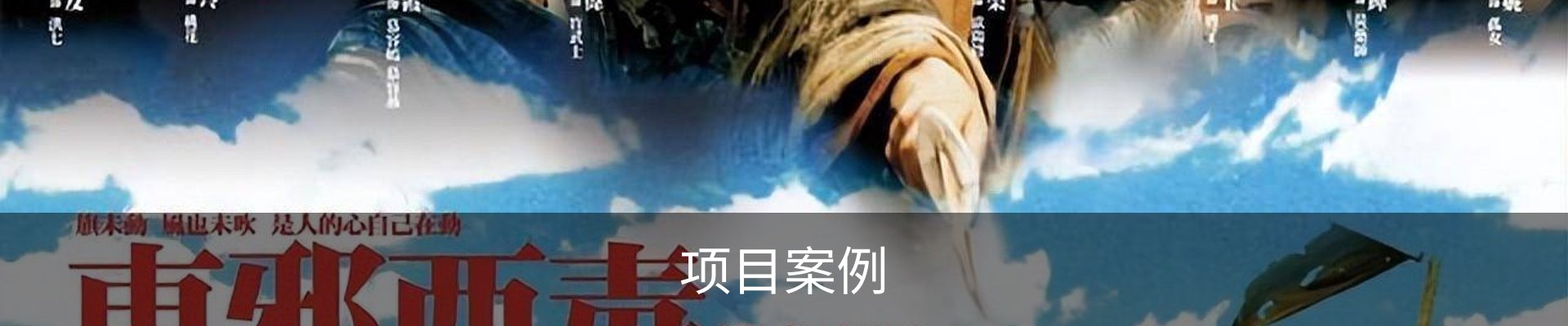 项目案例